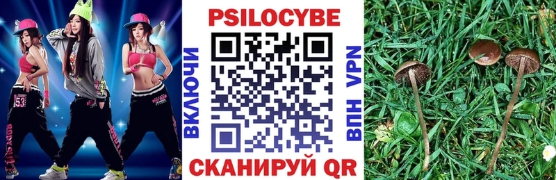 Псилоцибиновые грибы Psilocybe Купить закладки Королёв